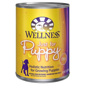 WELLNESS Just For Puppy 12/12.5OZ
