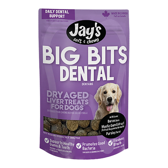 Jay's Big Bits Dental