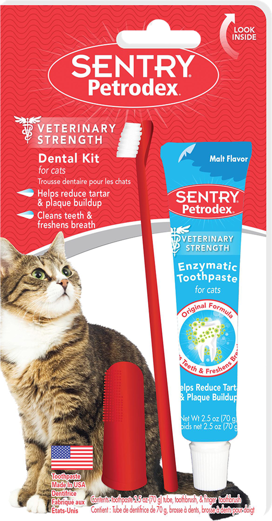 Petrodex Enzymatic Dental Kit | Cat