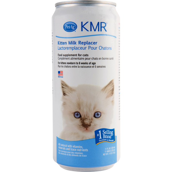 Kitten formula outlet milk