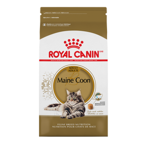 ROYAL CANIN FBN Maine Coon