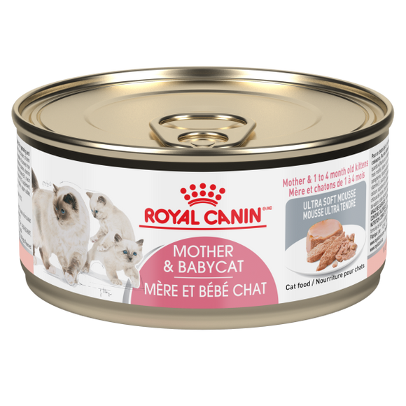 RC FHN Mother & Babycat Ultra Soft Mousse 24/145 gm