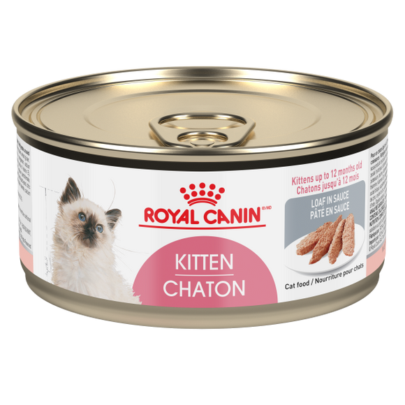 RC FHN Instinctive Kitten Loaf 24/145 gm