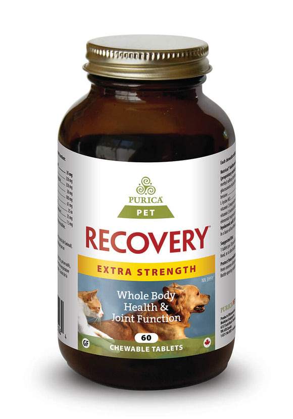PURICA Pet Recovery-EXTRA STRENGTH (Chewable Tablets)