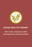 Healthy Grains Large Breed Recipe